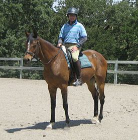 Sammy under saddle