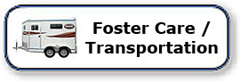 Foster Care / Transportation